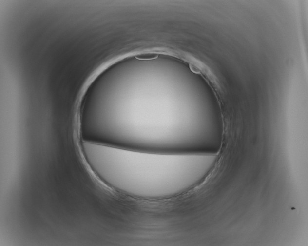 X0000112371520200908131244