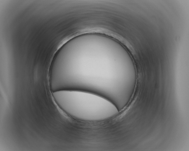 X0000112371521200908131244