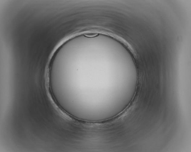 X0000112371522200908131244