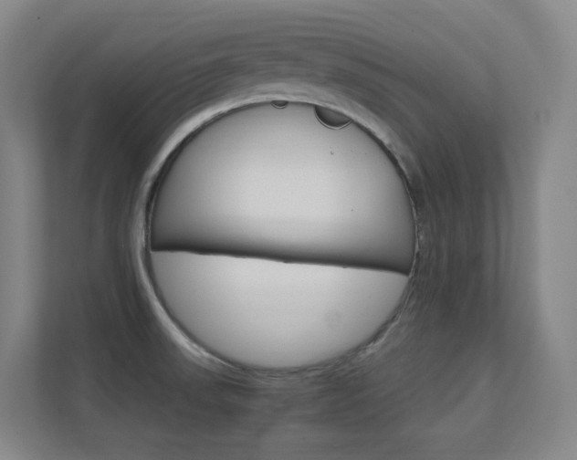 X0000112371523200908131244