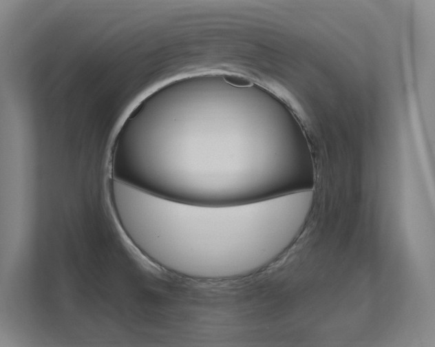 X0000112371524200908131244