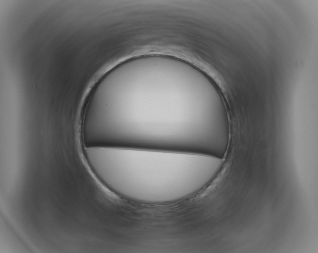 X0000112371525200908131244