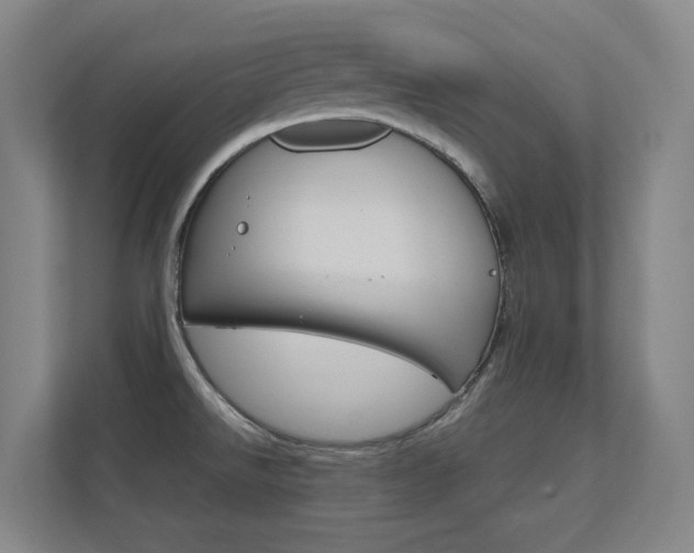 X0000112371526200908131244