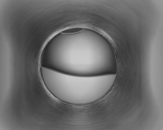 X0000112371528200908131244