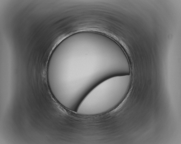 X0000112371529200908131244