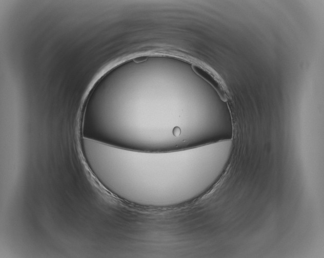 X0000112371530200908131244