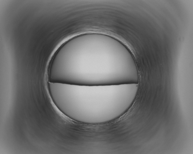 X0000112371531200908131244
