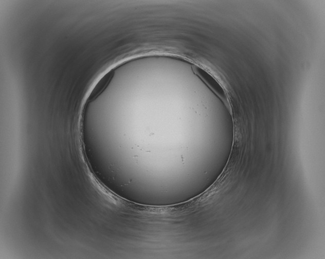 X0000112371532200908131244