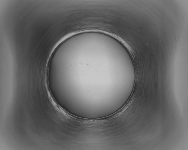 X0000112371534200908131244