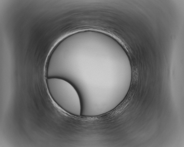 X0000112371535200908131244