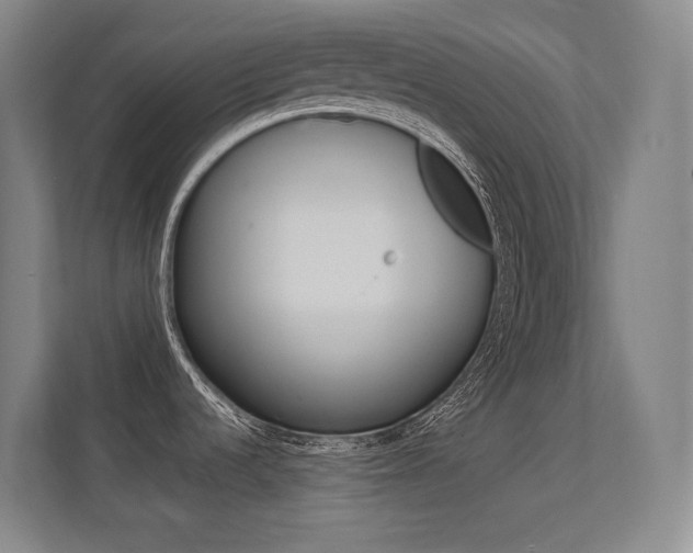 X0000112371536200908131244