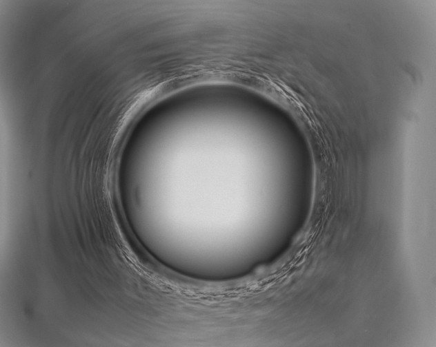 X0000112370003200908131527