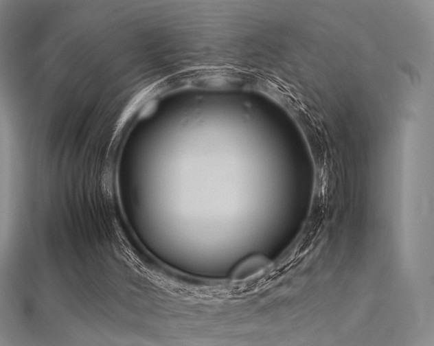 X0000112370004200908131527