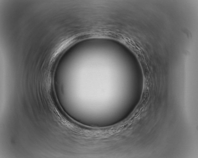 X0000112370005200908131527