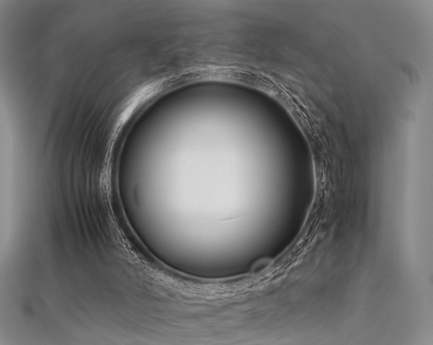 X0000112370006200908131527