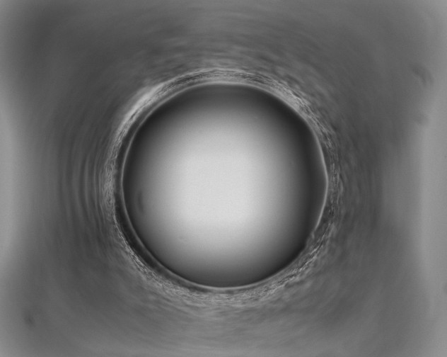 X0000112370007200908131527