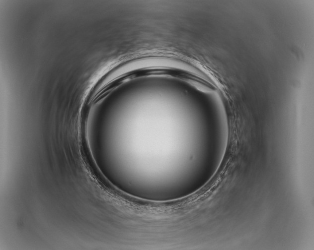 X0000112370008200908131527