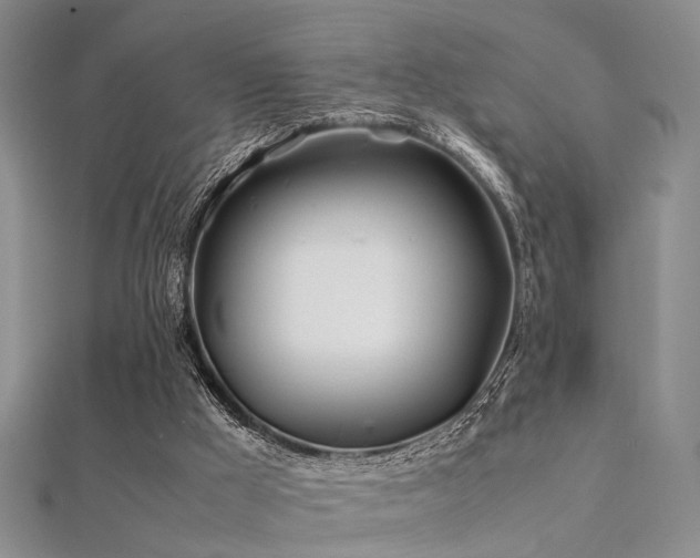 X0000112370009200908131527