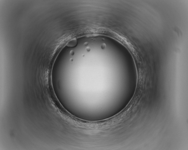 X0000112370010200908131527