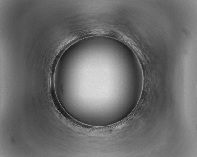 X0000112370011200908131527