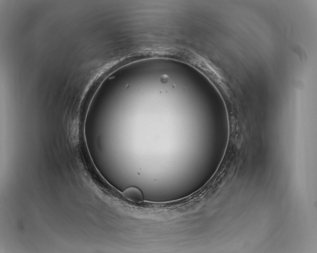 X0000112370012200908131527