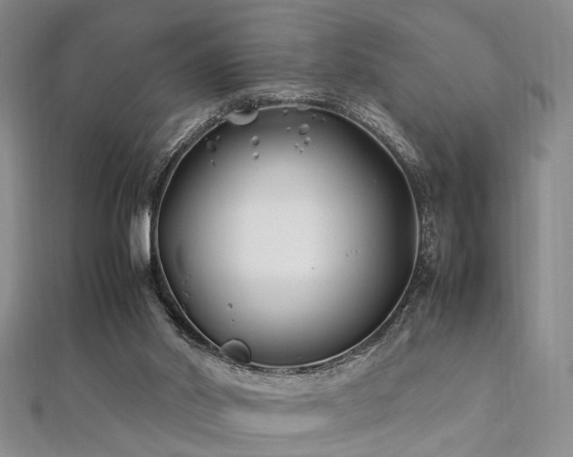 X0000112370014200908131527