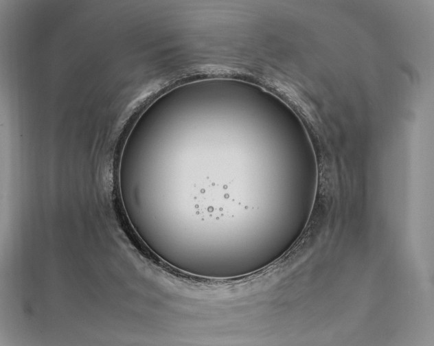 X0000112370015200908131527