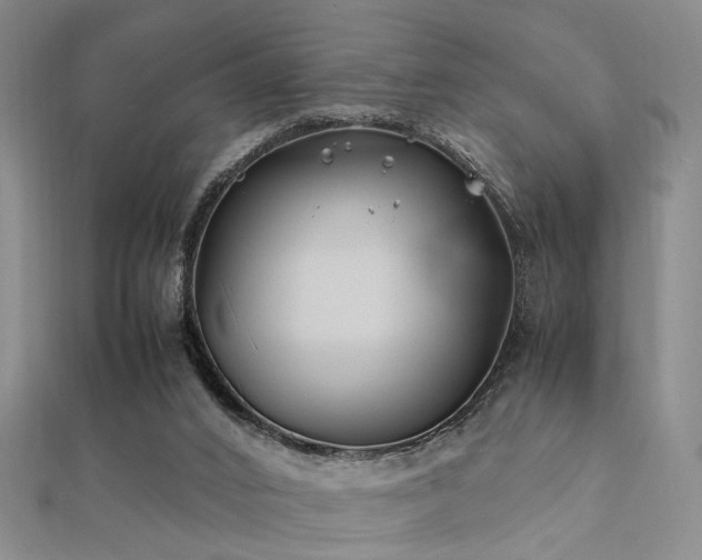 X0000112370016200908131527