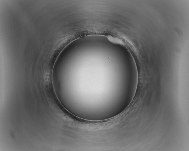 X0000112370017200908131527