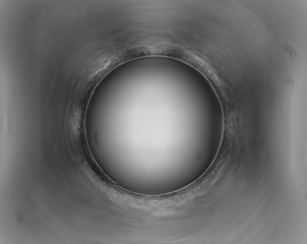 X0000112370018200908131527