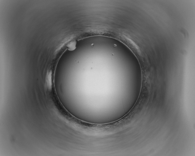 X0000112370020200908131527