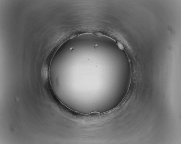 X0000112370021200908131527