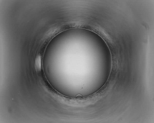 X0000112370022200908131527