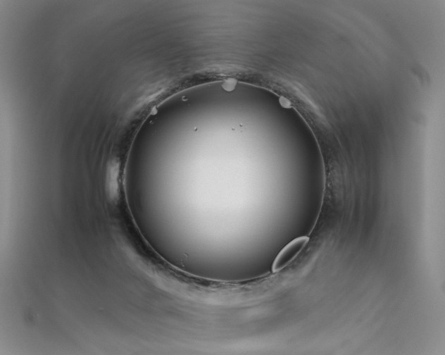 X0000112370024200908131527