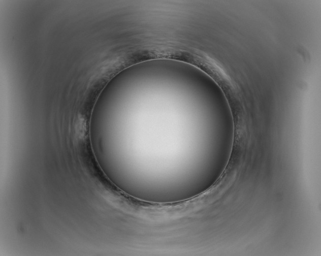 X0000112370025200908131527