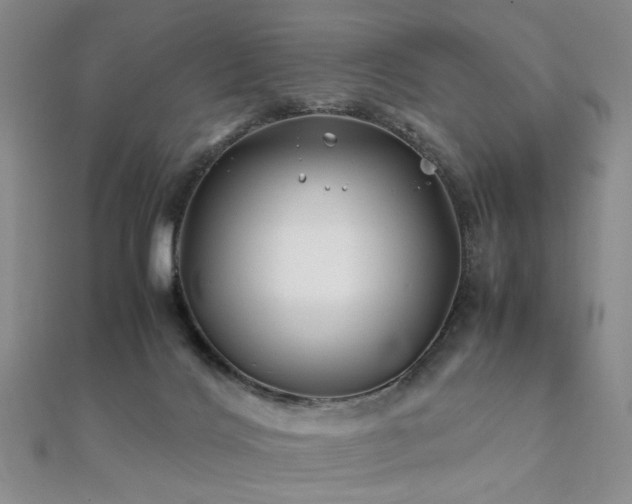 X0000112370028200908131527