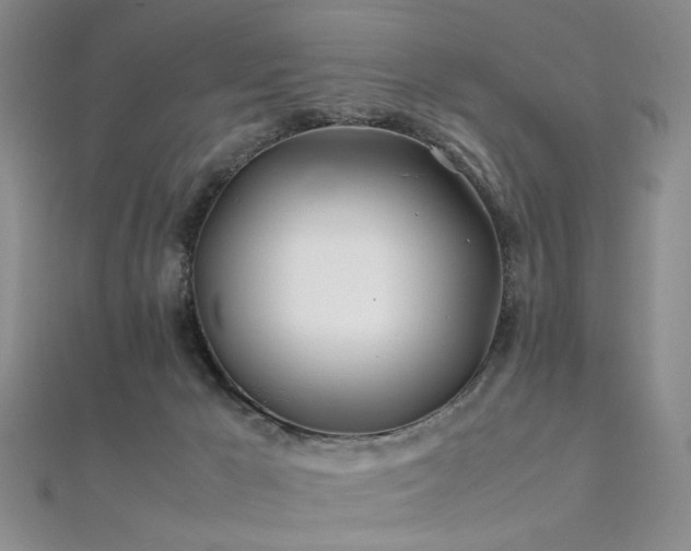 X0000112370029200908131527