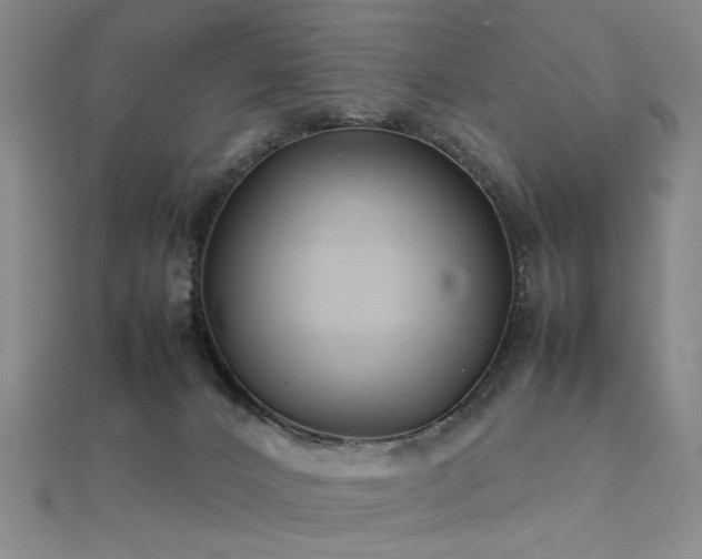 X0000112370032200908131527