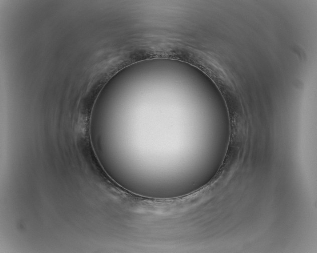 X0000112370033200908131527