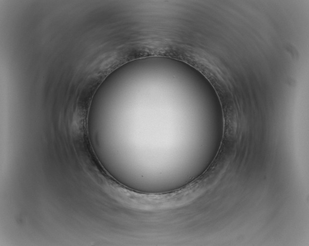 X0000112370034200908131527