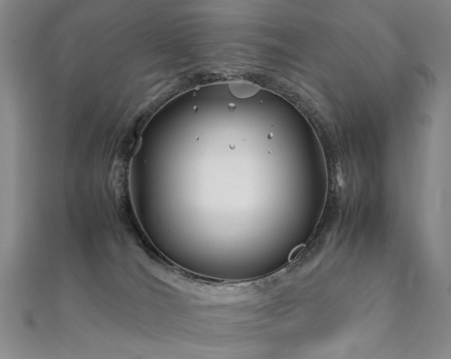 X0000112370036200908131527