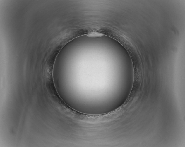 X0000112370037200908131527