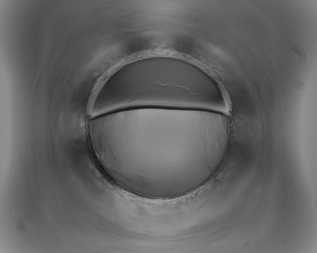 X0000112370039200908131527