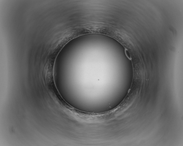 X0000112370040200908131527