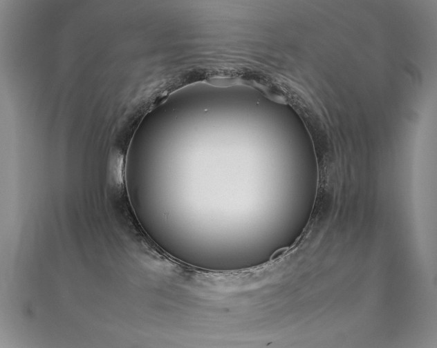 X0000112370041200908131527