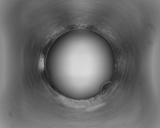 X0000112370042200908131527