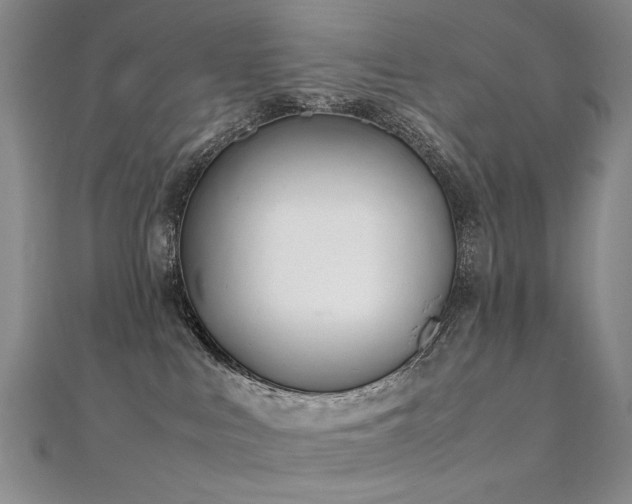 X0000112370043200908131527