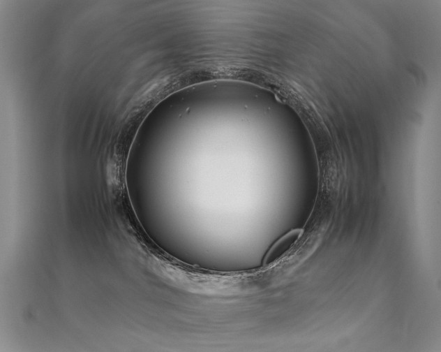 X0000112370044200908131527