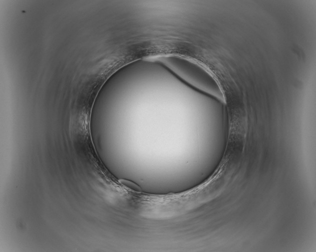 X0000112370045200908131527