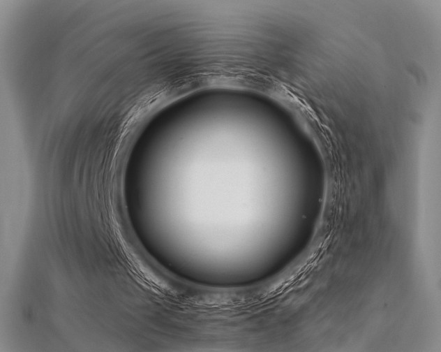 X0000112370049200908131526